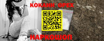 прущие грибы Сланцы