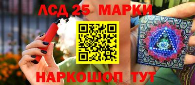 прущие грибы Сланцы