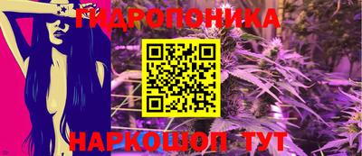 прущие грибы Сланцы