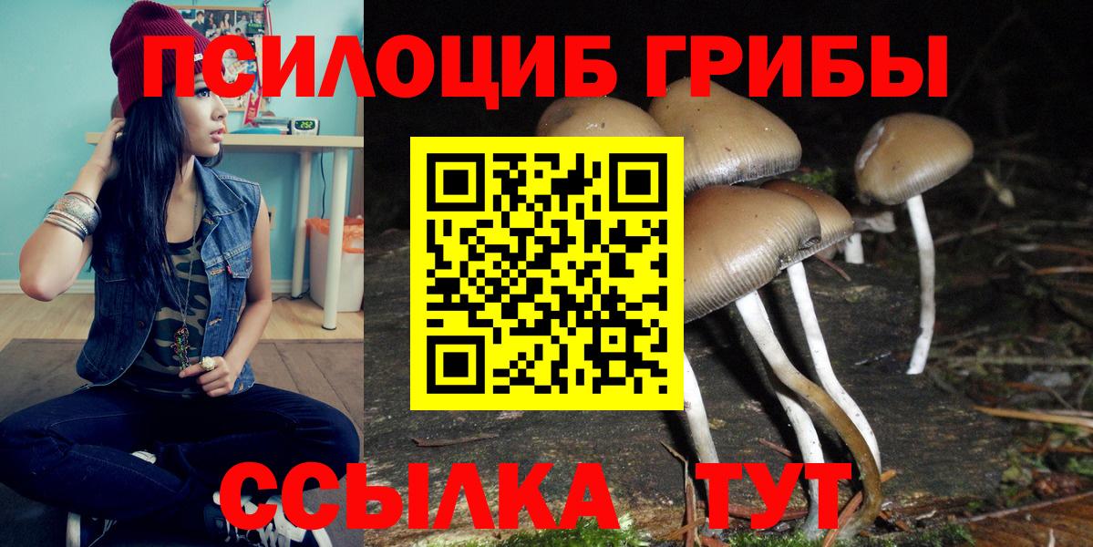 Псилоцибиновые грибы Cubensis Ногинск