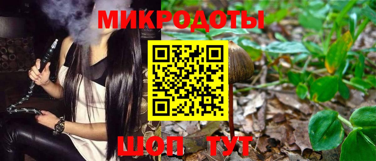 Галлюциногенные грибы Psilocybe  Псилоцибиновые грибы Psilocybe  как найти наркотики  Вход с VPN  Ногинск 